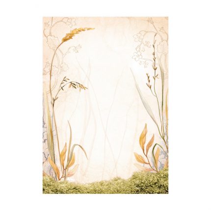 Σετ 8 ριζόχαρτα ντεκουπάζ Stamperia 10.5×14.8cm, Backgrounds, Woodland